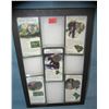 Image 1 : Collection of vintage US encased state quarters