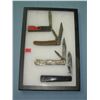 Image 1 : Collection of German made pocket knives