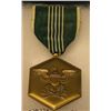 Image 1 : Army commendation medal and ribbon