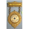 Image 1 : Carnegie hall democratic convention badge