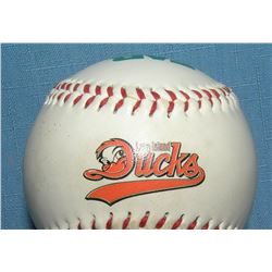 Long Island Ducks baseball team baseball