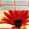 Image 2 : Aperture by Rider Original