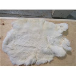 2 WHITE RABBIT PELTS (15" X 10"---16" X 11")
