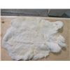 Image 1 : 2 WHITE RABBIT PELTS (15" X 10"---16" X 11")