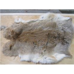 2 BROWN RABBIT PELTS (18" X11"---12" X 15")