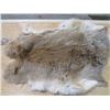 Image 1 : 2 BROWN RABBIT PELTS (18" X11"---12" X 15")