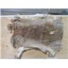 Image 3 : 2 BROWN RABBIT PELTS (18" X11"---12" X 15")