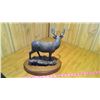 Image 2 : Ducks Unlimited "Ghost Marsh Buck"