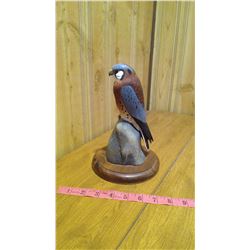 Ducks Unlimited Hawk