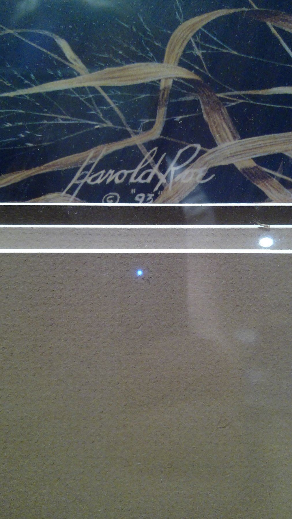 Harold Roe Print 1993