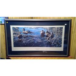 Ducks Unlimited Print "Resting Place - Black Ducks" by Tony Biaco 1992 697/5300