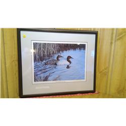 "Canvasbacks On Tour" print by Robert Billings 1252/1950