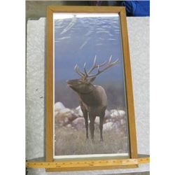 LOT OF 2 PICTURES AND 2 FRAMES ONLY