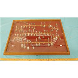 DISPLAY CASE FULL OF SPOONS