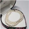 Image 4 : Silver Freshwater Pearl Necklace, Suggested Retail Value $200