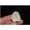 Image 4 : 2 1/2" Rice Lobed Side Notch Point, Saline Co, Missouri