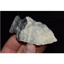 2 7/8" Rice Lobed Point, Mozarkite, Saline Co, Missouri