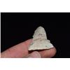 Image 4 : 2 3/8" Rice Lobed Side Notch Point, Saline Co, Missouri