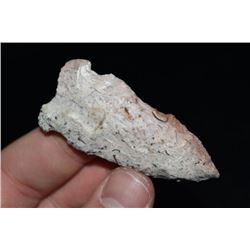 2 1/2" Osceola Point, Saline Co, Missouri