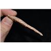 Image 3 : 2 7/8" Rice Lobe Point, Jefferson Co, Missouri