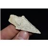 Image 1 : 2 1/4" Dickson Point, St Louis Co, Missouri