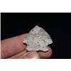 Image 4 : 1 3/4" Rice Lobe Point, Cooper Co, Missouri