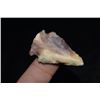 Image 1 : 1 3/4" Colorful Woodland Point, St Louis Co, Missouri