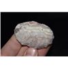 Image 1 : 2 1/4" Thumb Scraper, Osage Co, Missouri