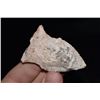 Image 1 : 2 1/4" Rice Side Notch Point, Osage Co, Missouri