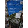Image 2 : 2 OUTDOOR CHRISTMAS TREES - AS IS