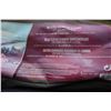 Image 2 : 2 COLEMAN 10 x 10 FOOT CANOPIES FRAMES ONLY
