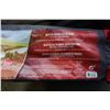Image 3 : 2 COLEMAN 10 x 10 FOOT CANOPIES FRAMES ONLY