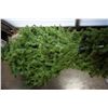 Image 2 : 8FT CHRISTMAS TREE AND STAND