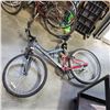 Image 1 : GREY ARASH IBIKE