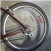 Image 3 : BROWN RALEIGH BIKE