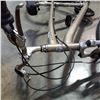 Image 3 : GREY GLOBE BIKE
