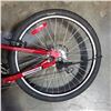 Image 3 : RED CCM BIKE