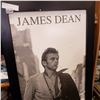 Image 2 : JAMES DEAN 6FT PRINT