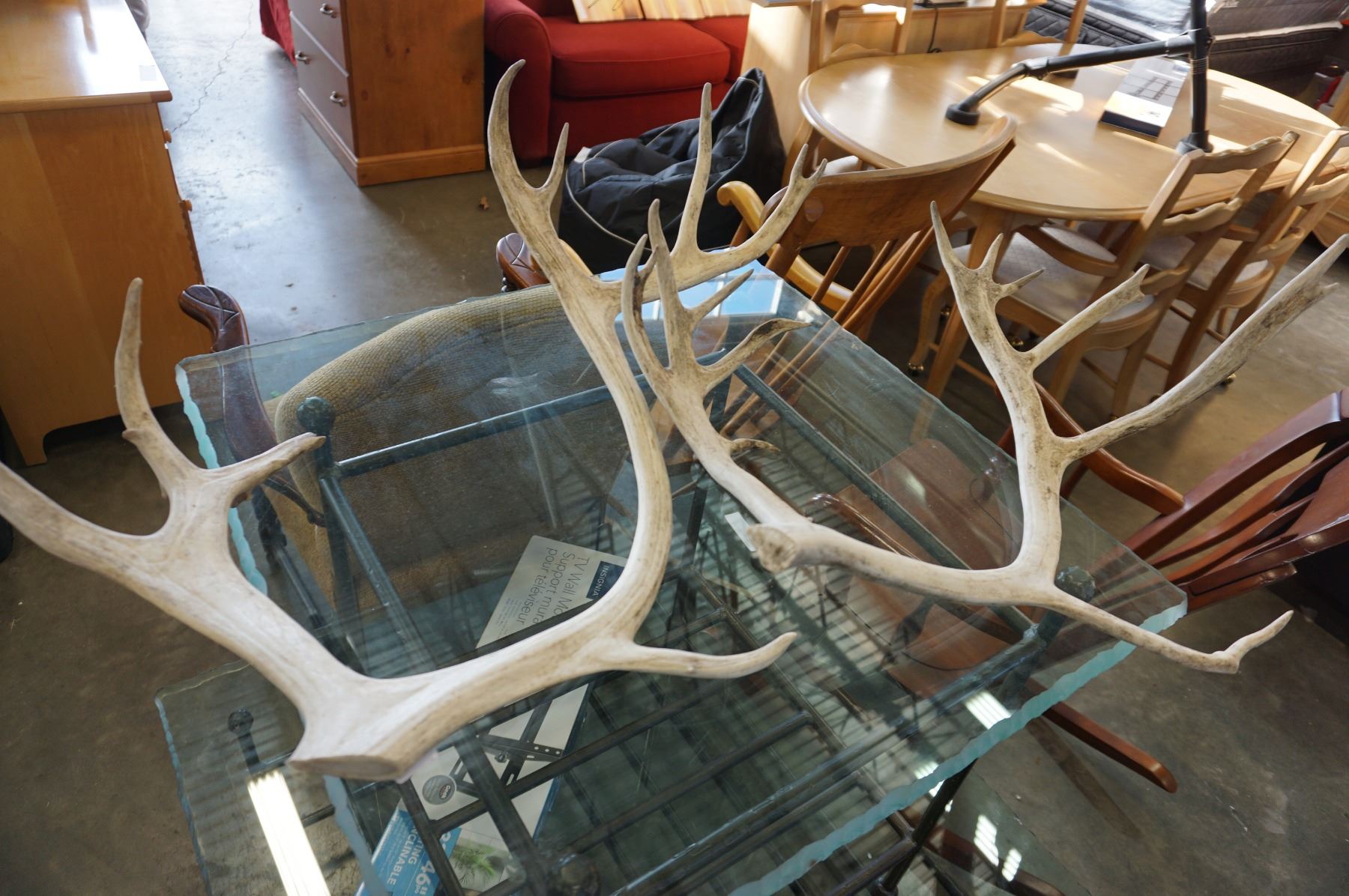2 DEER ANTLERS - Big Valley Auction