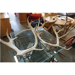 2 DEER ANTLERS