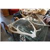 Image 2 : 2 DEER ANTLERS