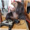 Image 1 : ANIMATRONIC MONKEY W/ REMOTE - WORKING