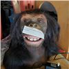 Image 2 : ANIMATRONIC MONKEY W/ REMOTE - WORKING