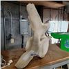 Image 2 : WHALE BONE VERTABRE