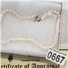 Image 3 : BASE METAL GENUINE FRESHWATER PEARL NECKLACE 64 PEARLS W/ APPRAISAL $280