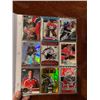 Image 1 : BINDER OF PATRICK ROY AND HASEK HOCKEY CARDS