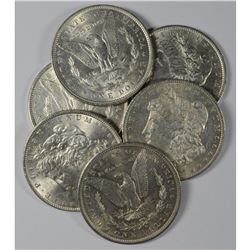 (6) Random Date BU Morgan Dollars-No 21s