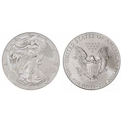 2011 Burnished US Silver Eagle