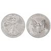 Image 1 : 2011 Burnished US Silver Eagle