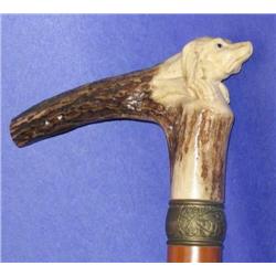 Stag Handle Dog Head Cane